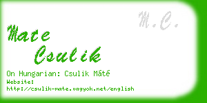 mate csulik business card